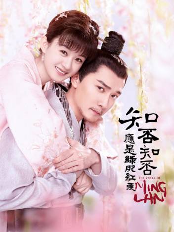 知否知否应是绿肥红瘦 TV版